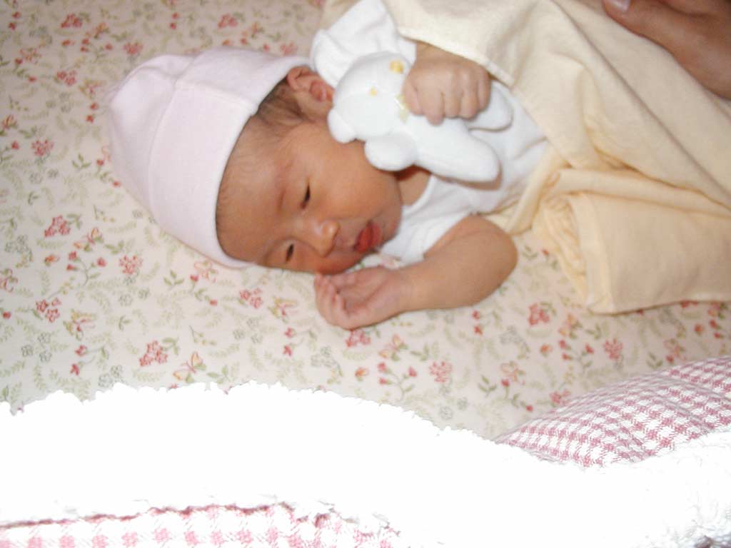 hope081.jpg