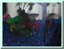 fish05.jpg